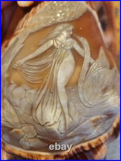 Ancienne lampe veilleuse en coquillage