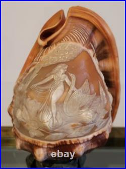 Ancienne lampe veilleuse en coquillage