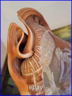 Ancienne lampe veilleuse en coquillage