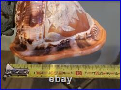 Ancienne lampe veilleuse en coquillage