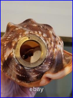 Ancienne lampe veilleuse en coquillage