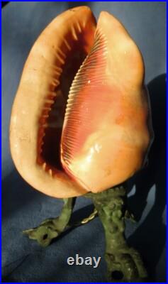 Cameo Shell Lamp Lampe Camée Coquillage Trois Graces Muses Hand Carved