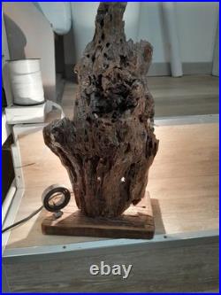 Lampe Bois Flotté Art Deco