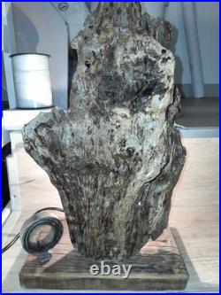 Lampe Bois Flotté Art Deco