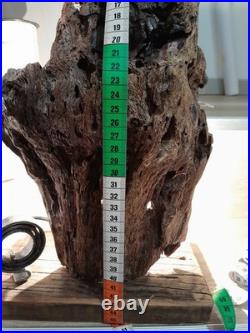 Lampe Bois Flotté Art Deco