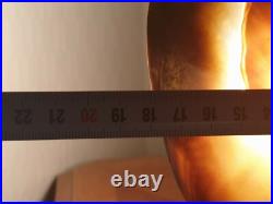 Lampe coquillage Tahiti 1930 / 1940 Déco Surf Rare Art Déco Palmier Vintage